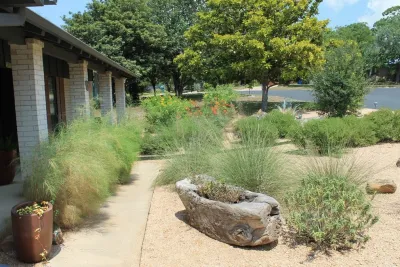 Austin Native Landscaping - Tree & Shrub Care in Austin, TX
