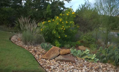 Austin Native Landscaping - Tree & Shrub Care in Austin, TX