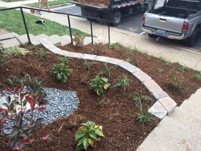 Executive Landscape Services, LLC - Seasonal Yard Cleaning in Lexington, KY