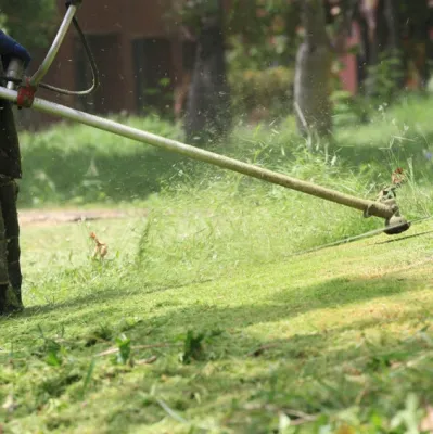 B & C Landscaping - Seasonal Yard Cleaning in Derry, NH