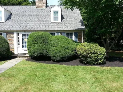 BAC Landscaping Inc. - Seasonal Yard Cleaning in Boothwyn, PA