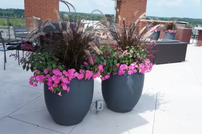 Bachman's Landscaping & Garden Services - Retaining Wall Construction in Minneapolis, MN