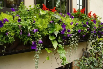Spring & Summer Pots — Landscape Construction project by Bachman's Landscaping & Garden Services in Minneapolis