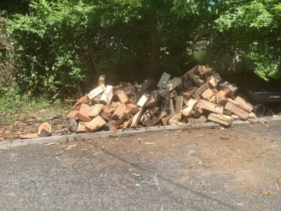 Backyard Backup Services, LLC. - Land Cleaning in Morristown, NJ