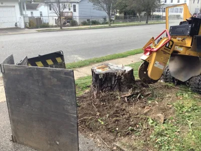 Backyard Backup Services, LLC. - Land Cleaning in Morristown, NJ
