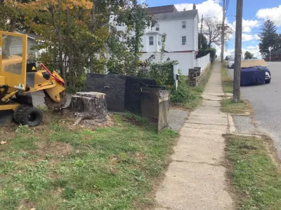 Backyard Backup Services, LLC. - Land Cleaning in Morristown, NJ