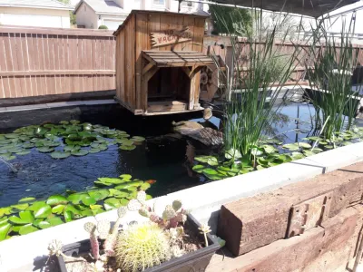 Backyard Dreams LA - Lawn Aeration in Long Beach, CA