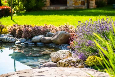 Backyard Dreams LA - Lawn Aeration in Long Beach, CA