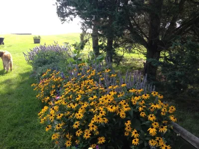BlueFlax Design LLC - Landscape Design in Harwich, MA