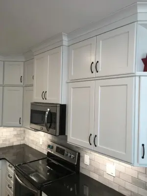 Monochrome Marietta Kitchen with Black Granite — Kitchen Remodeling project by Custom Professional Remodeling, Inc