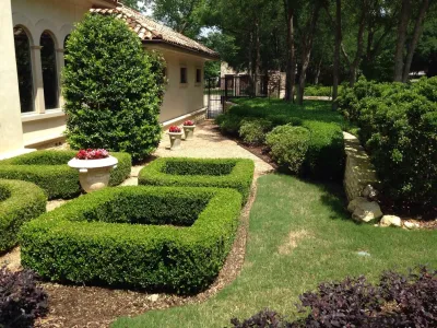 Baldi Gardens, Inc. - Landscape Maintenance in Arlington, TX