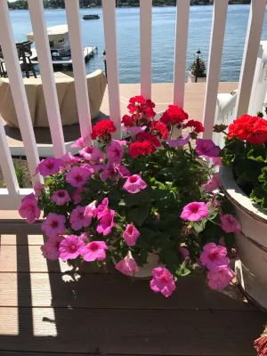 Seasonal Color — Landscape Construction project by Barkman Landscaping INC