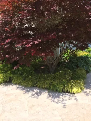 Barry Bros. Landscape Design LLC - Lawn Aeration in St. James, NY