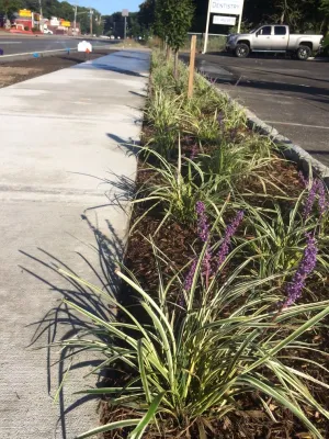 Barry Bros. Landscape Design LLC - Lawn Aeration in St. James, NY