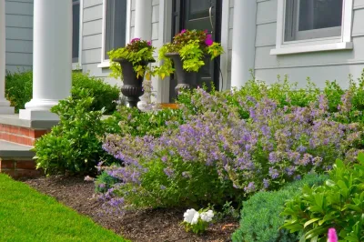 Basics Landscaping Co - Lawn Care & Mowing in Deer Park, NY