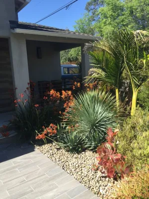 BlueGreen Landscape Design - Landscape Design in Los Angeles, CA