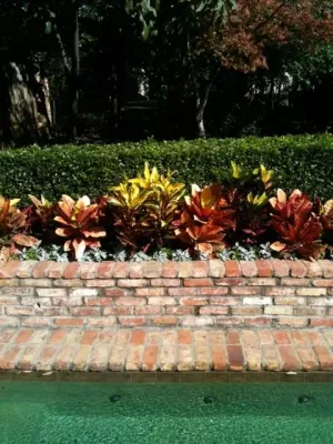 Brumley Gardens - Landscape Construction in Dallas, TX