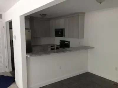 Gray Condo Kitchen — Kitchen Remodeling project by Total Solutions NP, LLC