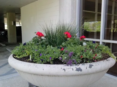 Commercial Landscape by Be Green Texas Lawn Care