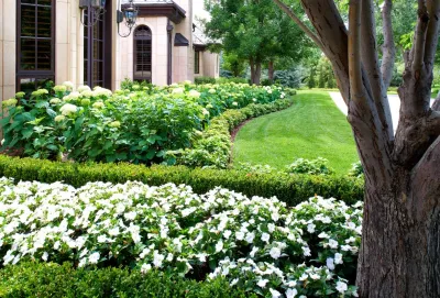 Blueline, Inc Landscape Contractors - Landscape Design in Denver, CO