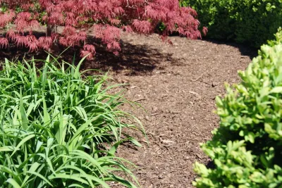 Berns Landscaping Services, Inc. - Tree & Shrub Care in Warren, MI