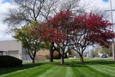 Berns Landscaping Services, Inc. - Tree & Shrub Care in Warren, MI