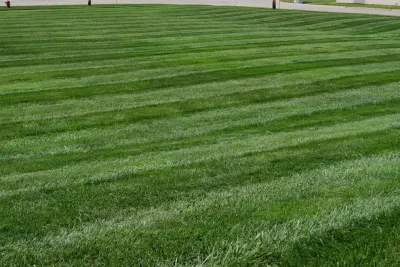 Berns Landscaping Services, Inc. - Tree & Shrub Care in Warren, MI