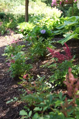 Berns Landscaping Services, Inc. - Tree & Shrub Care in Warren, MI