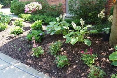 Berns Landscaping Services, Inc. - Tree & Shrub Care in Warren, MI