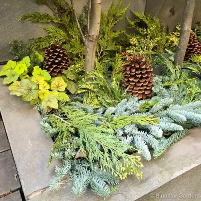 Bluestar Gardens - Irrigation System Repair in New York, NY