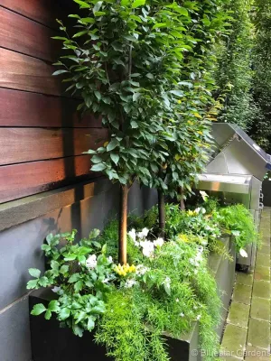 Bluestar Gardens - Irrigation System Repair in New York, NY