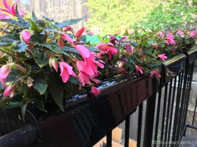 Bluestar Gardens - Irrigation System Repair in New York, NY
