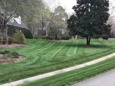 FortSmith Landscaping - Landscape Maintenance in Wake Forest, NC