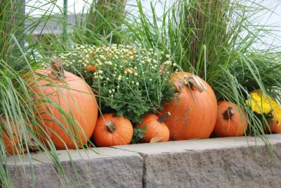 Fall Decorations — Landscape Construction project by Beyond Landscaping