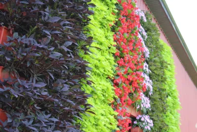 Live Wall — Landscape Construction project by Beyond Landscaping
