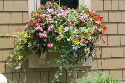 Annual Planting — Landscape Construction project by Beyond Landscaping