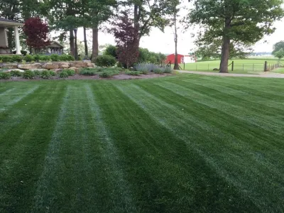 Lawns — Landscape Construction project by Beyond Landscaping in Milford