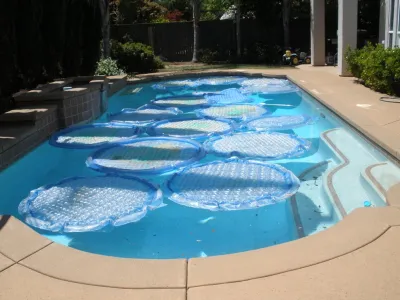 Bluestar Landscape Designers - Outdoor Lighting Installation in Rocklin, CA