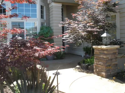 Rocklin Contemporary Courtyard — Landscape Design project by Bluestar Landscape Designers in Rocklin