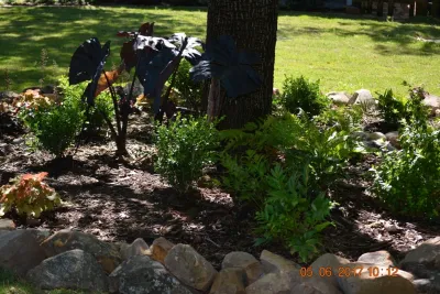Bill Kennedy Landscape - Drip Irrigation System Installation in Denison, TX