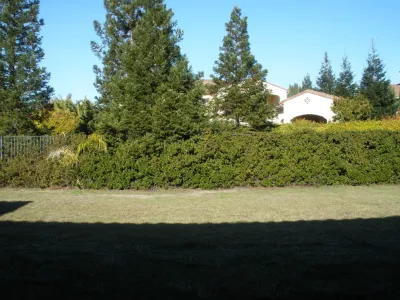 Waterfall and Landscape Renovation at Morgan Creek, Roseville by Bluestar Landscape Designers
