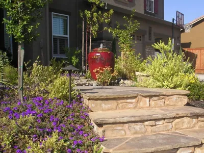 Front Yards and Walkways — Landscape Design project by Bluestar Landscape Designers in Roseville