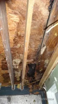 Chappell Contracting & Development - Flooring Installation Services in Gainesville, FL