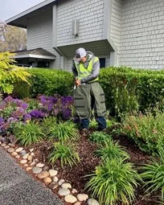 Gachina Landscape Management - South/West Branch - Landscape Construction in San Jose, CA