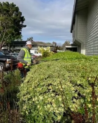 Gachina Landscape Management - South/West Branch - Landscape Construction in San Jose, CA