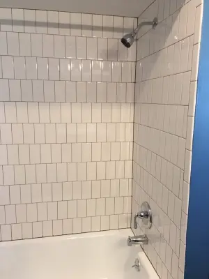 Traditional Bathroom Makeover — Home Renovation & Remodeling Services project by Carlisle Builders