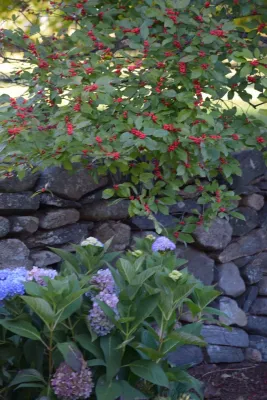 Bolton Landscape Design & Masonry inc - Retaining Wall Construction in Wilton, CT
