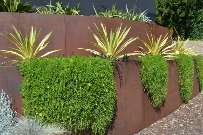 Modern San Rafael, CA — Landscape Construction project by Bon Terra Landscapes Inc.