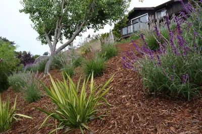 Bon Terra Landscapes Inc. - Drip Irrigation System Installation in Corte Madera, CA