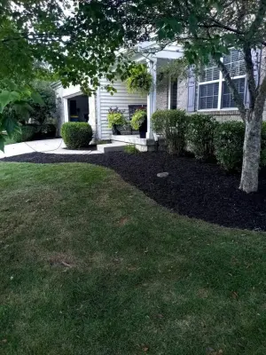 All Bases Covered Property Services - Carpentry & Woodworking in Indianapolis, IN